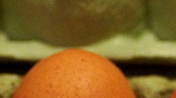 huevos