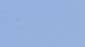 Aficionados de Pumas llaman a la unidad nacional