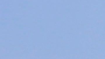 Aficionados de Pumas llaman a la unidad nacional