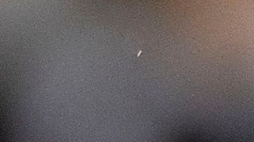 Javier 'Chicharito' Hernández