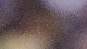 Pumas y América siempre ofrecen grandes partidos.