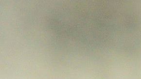 Raúl Gudiño podría salir de Chivas.