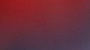 El mensaje recibió muchas muestras de apoyo.