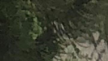 Imagen de las inundaciones en el centro de Miami.