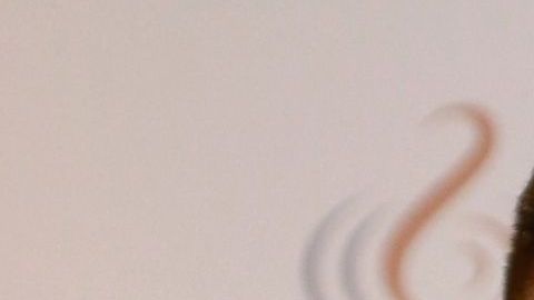 Johnny López y Chiquis Rivera