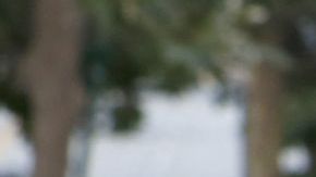 Los jornaleros, así como trabajadores de limpieza, serán parte del grupo de beneficiados.