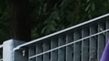 Justin y Hailey Bieber.