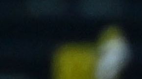 Joshua Kimmich anotó el gol de la jornada.