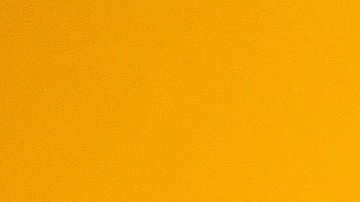 El Go Kart cuenta con el logotipo de la marca y el carcaterísitco color amarillo que lo jace lucir auténtico.