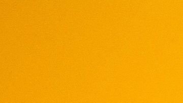El Go Kart cuenta con el logotipo de la marca y el carcaterísitco color amarillo que lo jace lucir auténtico.