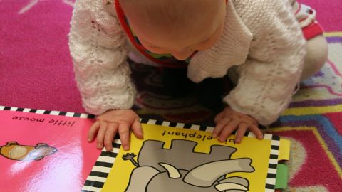 Los padres pueden leer los libros de sus bebés y luego dejarlos hojearlos y jugar con ellos.