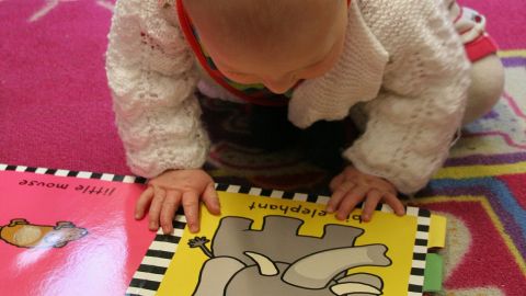 Los padres pueden leer los libros de sus bebés y luego dejarlos hojearlos y jugar con ellos.