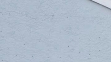 Imagen exterior de la barbería Lion Style de Miramar.