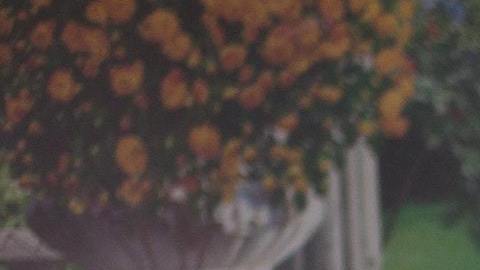 Todas las personas podrían tener sueños premonitorios.