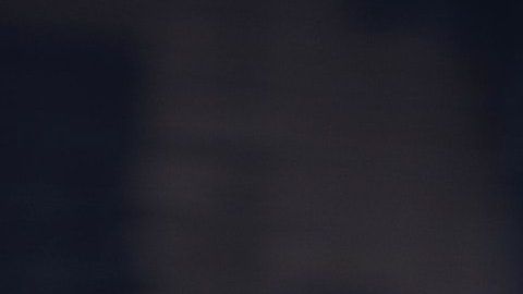 El gato de la fortuna es uno de los amuletos más populares.