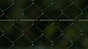 maria sharapova cita novak djokovic