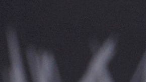 Vince McMahon, presidente de la WWE.