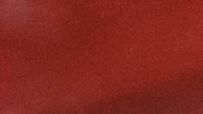 Perro French bulldog. Imagen ilustrativa.