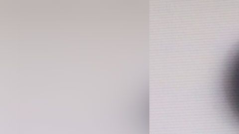 La promoción sólo es válida para suscriptores de los servicios premium de la empresa.