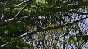 La tienda cerrará el 14% de sus tiendas.