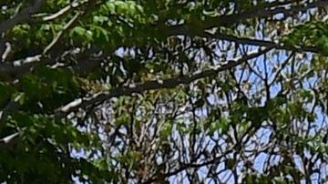 La tienda cerrará el 14% de sus tiendas.