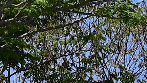 La tienda cerrará el 14% de sus tiendas.