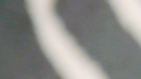 Recuerda que completar el formulario online es fácil.