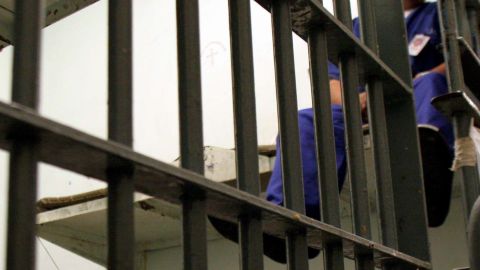 La mitad de las personas que murieron por suicidio en solitario eran jóvenes de unos veinte años y el 65% eran personas