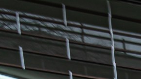 La ayuda a jornaleros inmigrantes en Queens llega cuando se cumplen más de 8 semanas de iniciada la cuarentena a causa de la pandemia.