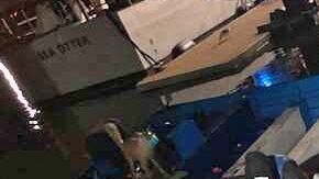 panga indocumentados