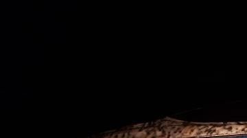 lancha indocumentados