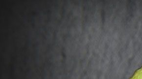 Estos productos podrían convertirse en desperdicio si los compras en Costco.