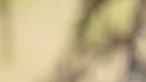 La pronunciación incorrecta tiene consecuencias en el autoestima, en la forma en que se relaciona con los demás y por supuesto, repercusiones académicas.