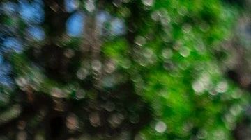 Algunos gobiernos permiten que la gente salga a despejarse.