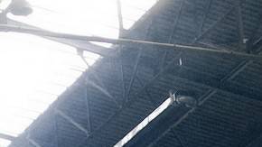 Peugeot 4002 Concept Car.
Crédito: Cortesía Peugeot.