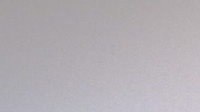 El elefante se ha vuelto un atractivo turístico.