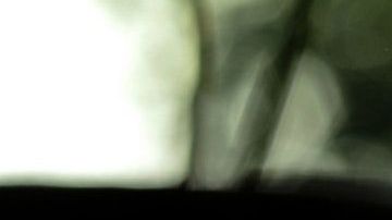 El ajo posee interesantes poderes esotéricos.