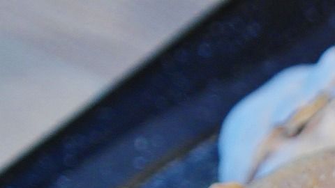 pollo-RitaE en Pixabay