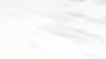 Tesla Roadster.
Crédito: Cortesía Roadster.