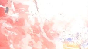 Carlos Salcido se convirtió en el nuevo jugador de los Tiburones Rojos del Veracruz