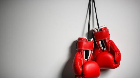 La mujer golpeó brutalmente en la cabeza al perro.