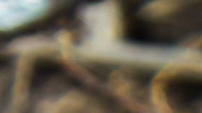 Con lo que tenía, el pequeño echó a volar su imaginación, creando algo fantástico.