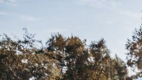 Honda Civic Hatchback