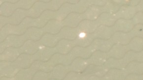 shutterstock_1403679386