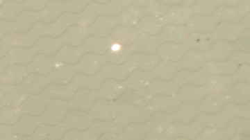 shutterstock_1403679386