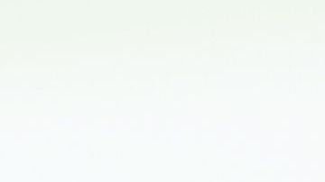 Solo el 3% de la población, a nivel mundial, es alérgico a la picadura de este insecto.