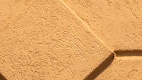 Los locales de esta pizzería lucieron abarrotadas en varios lugares de México.