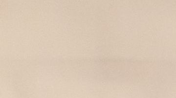 shutterstock_1541057543