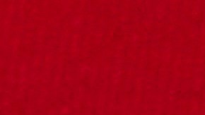 Promueven el voto por correo debido a la pandemia.