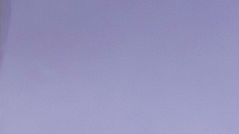 Su buena acción se vio recompensada.